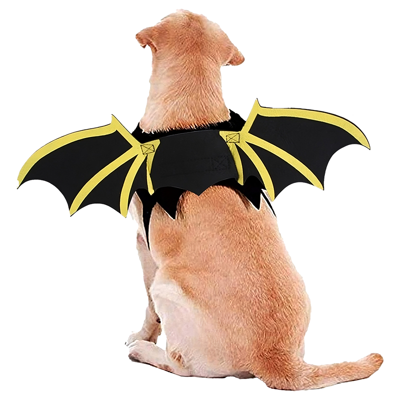 Nahkhiire Halloweeni Kostüüm Koerale