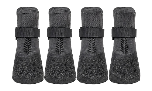 Koera Saapad Sportimiseks