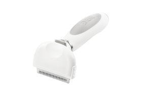 Aluskarva Kamm Kassile ja Koerale