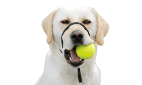 Tirimisvaba Koonurihm koos Pehmendusega Nina-aasaga