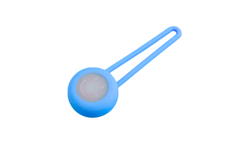 Detachable LED Dog Tag with Glowing Collar Light