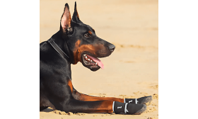 360° Helkivad Veekindlad Koerajalatsid – Libisemiskindlad Käpakaitsjad