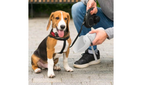 Kokkupandav Koera Joogipudel 550 ml – Toidukvaliteediga Silikoonist Kaasaskantav Joogikauss Lemmikloomadele