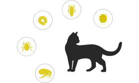 Looduslik Kirpude ja Puukide Vastane Kaelarihm Kassile