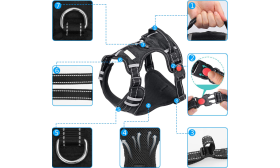 Tirimisvastased Traksid Koerale