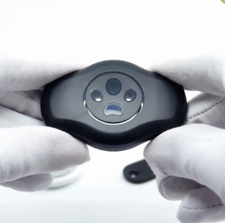 AirTag Kaitsekate Koera Kaelarihmale